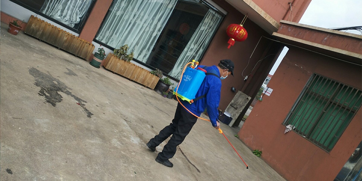 1630476003156423.jpg b.jpg